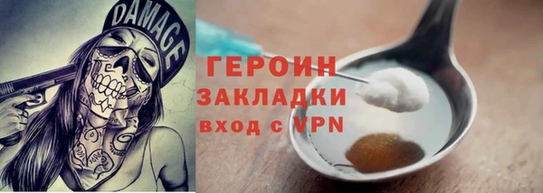 дмт Бородино