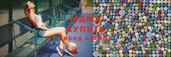 дмт Бородино