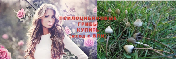 круглые Бронницы