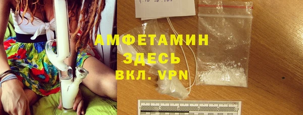 дмт Бородино