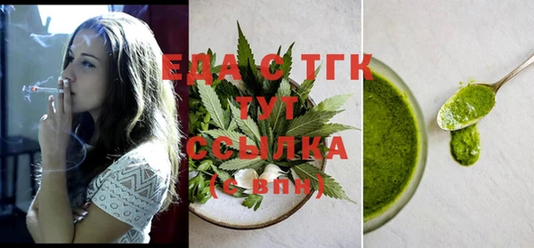 дмт Бородино