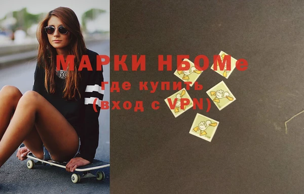 дмт Бородино