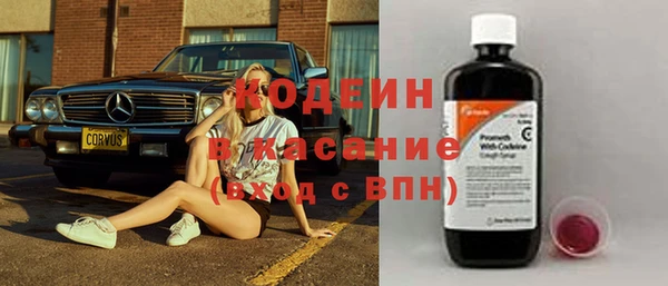 дмт Бородино