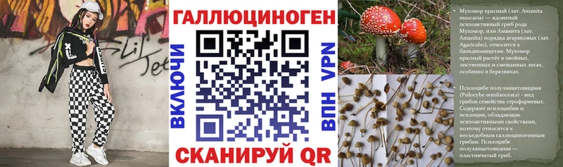 Галлюциногенные грибы Magic Shrooms  маркетплейс как зайти  Ярославль 